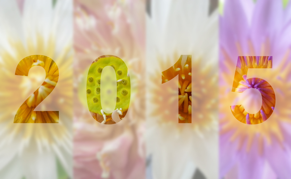 Fresh Flowers for a Fresh Start 2015