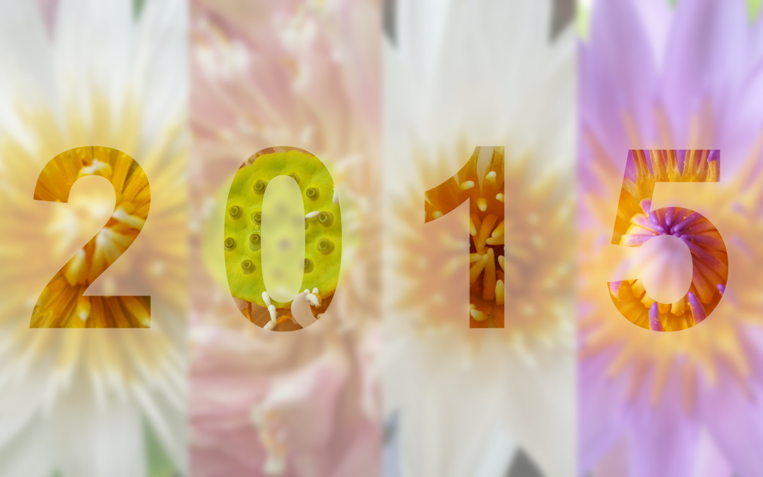 5 Reasons to get Fresh Flowers for a Fresh Start in 2015